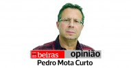 Pedro Mota Curto Professor